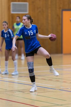 Bild 93 - wBJ TSV Ellerau - HSG Stoertal Hummeln : Ergebnis: 26:19